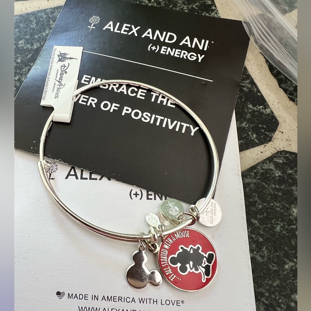 Disney Parks and Alex and Ani silver
Tone bracelet with enamel Mickey Mouse 2014